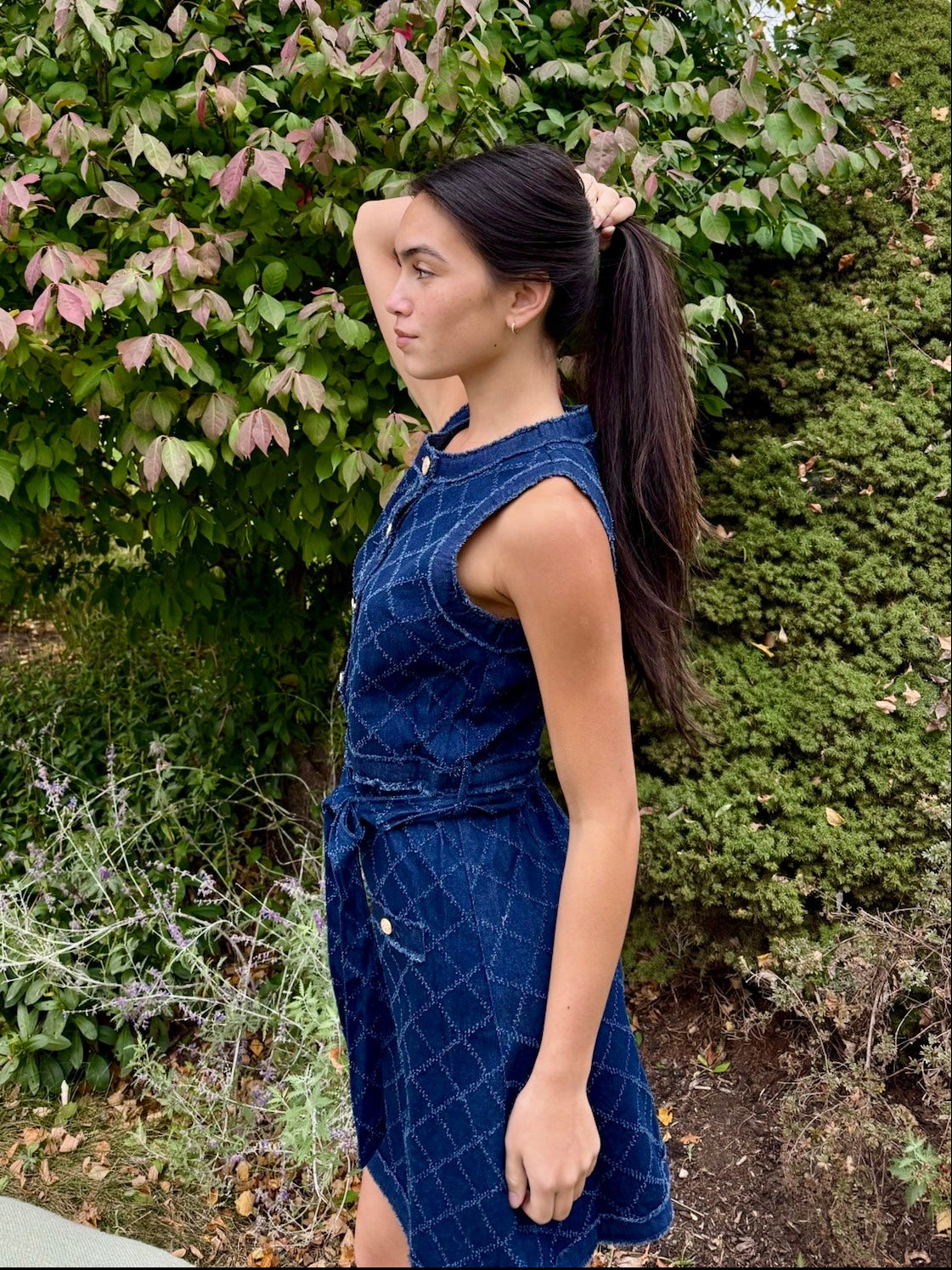 Darcy Denim Mini Dress