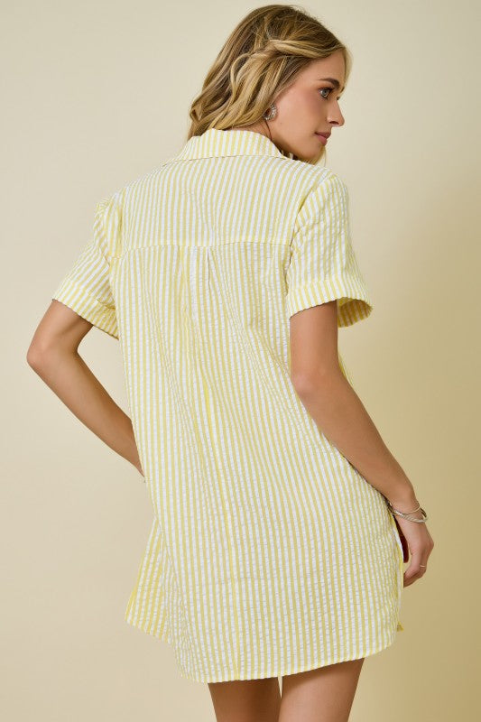 Edie Striped Mini Dress
