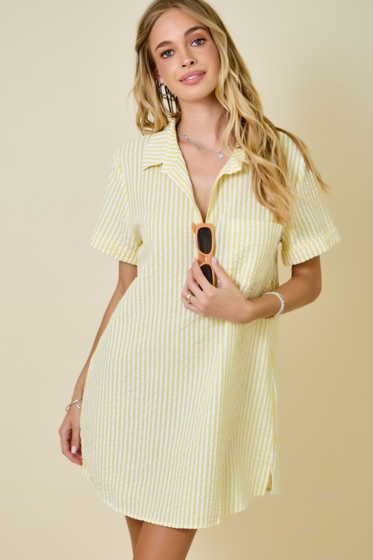 Edie Striped Mini Dress