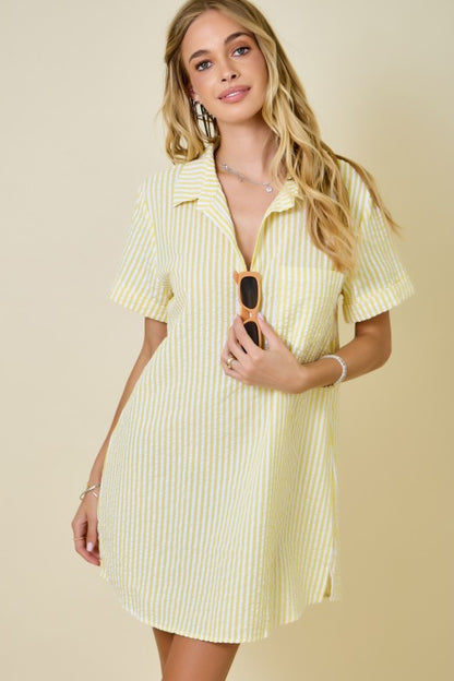 Edie Striped Mini Dress