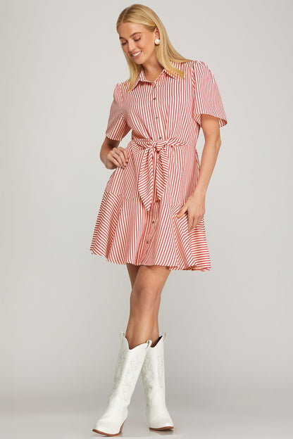 Brunch Date Mini Dress