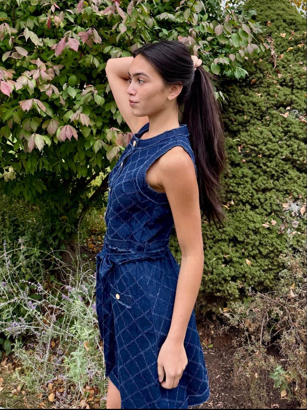 Darcy Denim Mini Dress