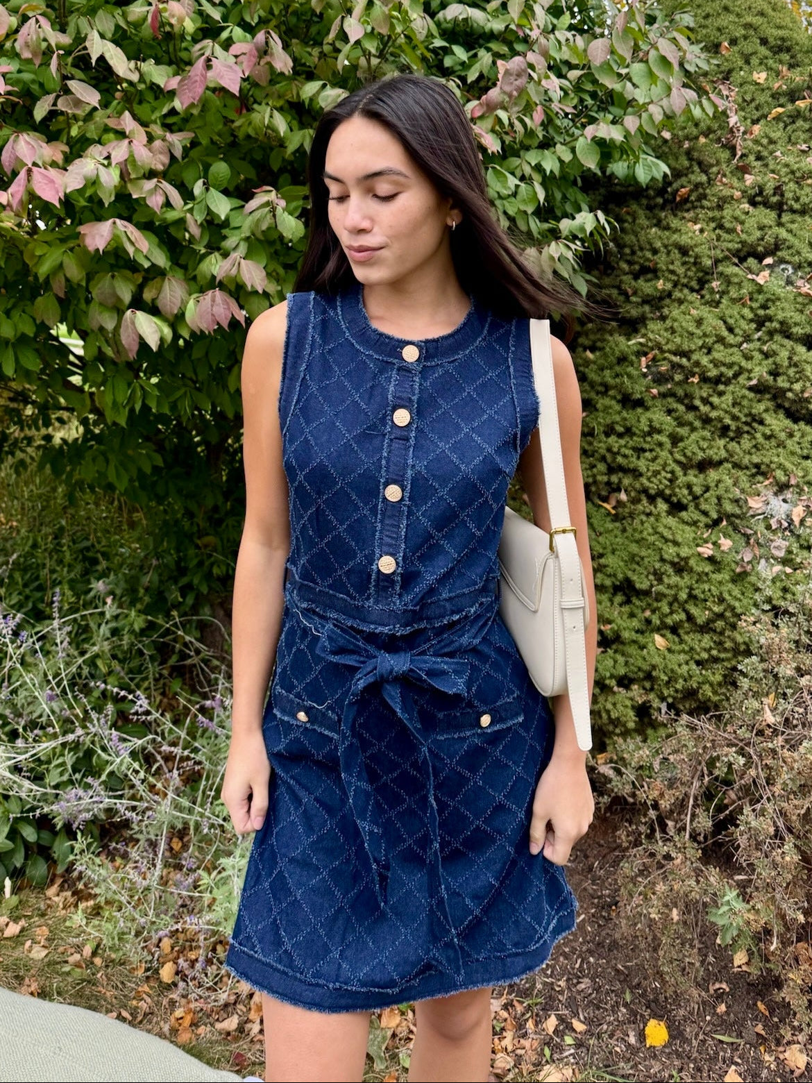 Darcy Denim Mini Dress