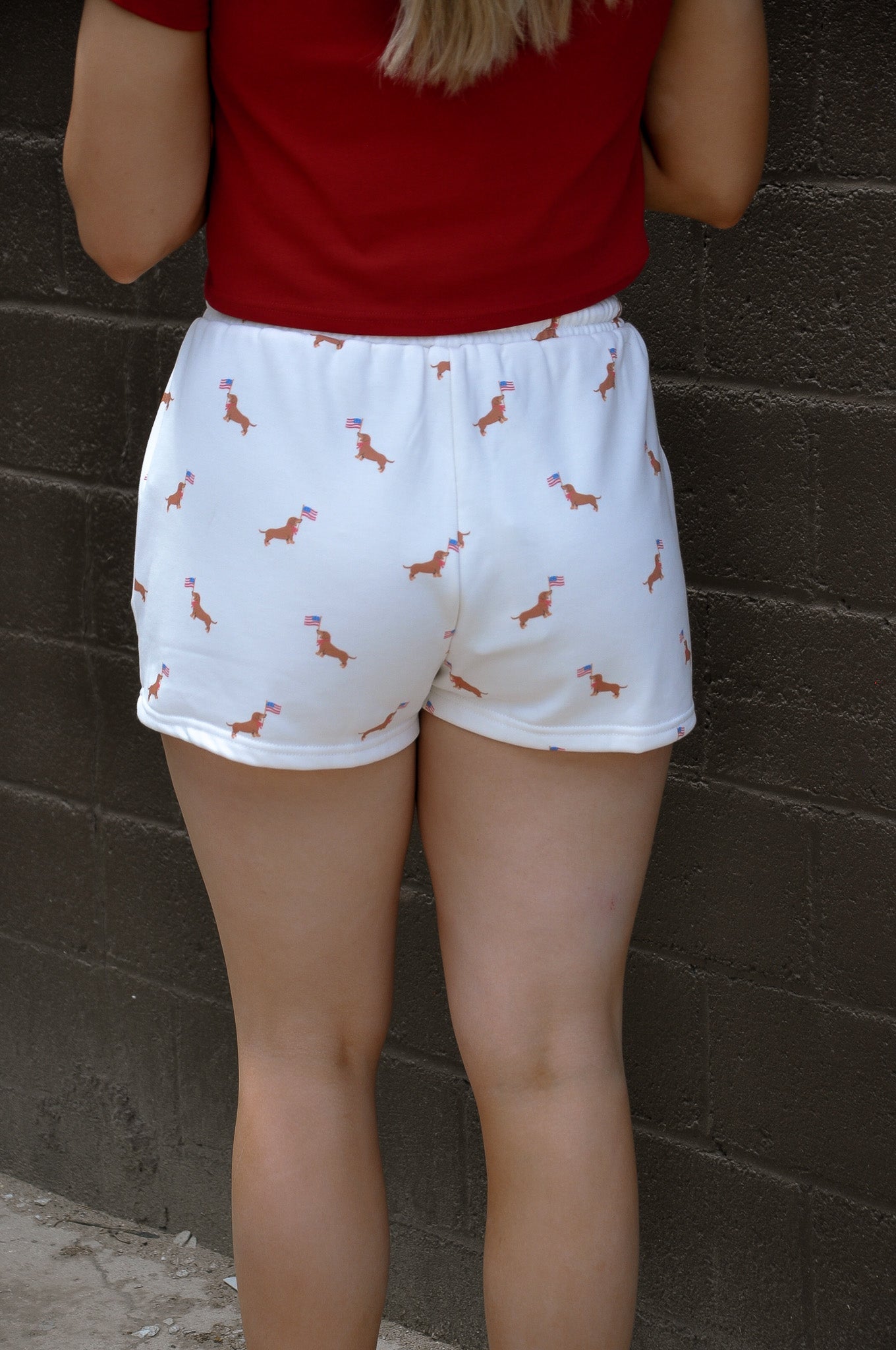 HR USA Dog Graphic Sweatshorts