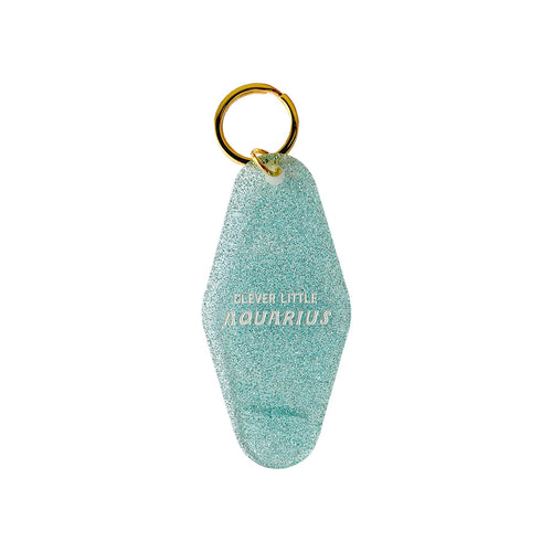 Clever Little Aquarius Keytag